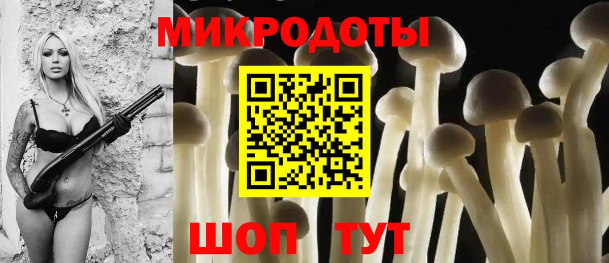 Пушкино  Галлюциногенные грибы GOLDEN TEACHER  Вход с VPN 